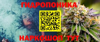 шишки Донецк